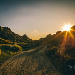Dinosaur Provincial Park Sunburst Hi Res   A3